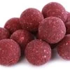 Garlic Robinred 15mm - 5kg -Fish Bait Verkoop 14f3c074e94c8c79