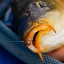 Fjuka Natural 2in1 200gram -Fish Bait Verkoop 173e3a2163a6a35f