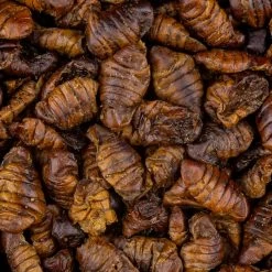 Vivani Gedroogde Zijderupsen - 750 Gram -Fish Bait Verkoop 4a1860c9e3325b4f