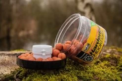 Solar Hardened Hookbaits Quench 16mm + Amino Liquid Booster (30ml)