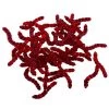 Ultimate Baits Bloodworms Transparant Red Imitatie Aas (50pcs) -Fish Bait Verkoop efc2def315247c8d