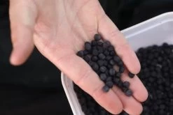 Fjuka 2in1 10mm Black -Fish Bait Verkoop f97c9debf3824049